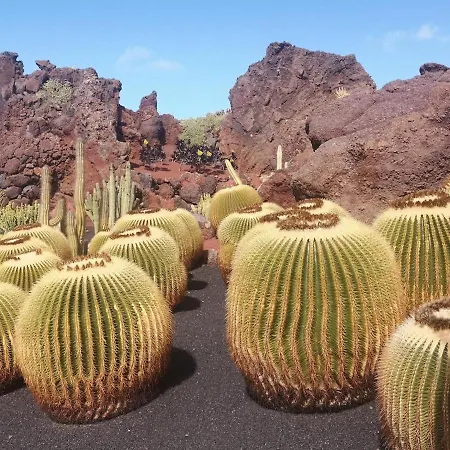 Apartment El Sueno Ocean Lanzamar - Puerto del Carmen (Lanzarote)