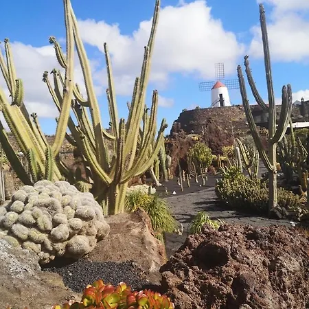 Apartment El Sueno Ocean Lanzamar - *