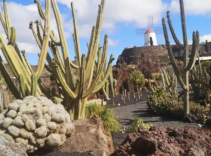 Apartament El Sueno Ocean Lanzamar - *